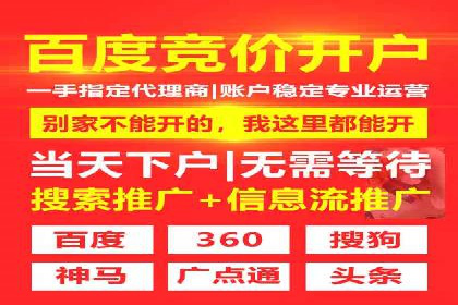 SEM服务公司助力企业竞争案例